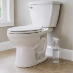 Spraying vinegar around the toilet helps with light buildup and odors but does not sanitize